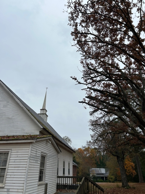 Limbs were removed that were hanging over the church. Thank you Jeff Thompson and TCI! Photo by Gary Laggis © November 10, 2023